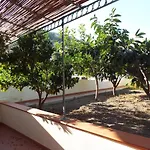 Anfora Arancione